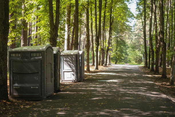 Trusted Calistoga, CA porta potty rental Experts